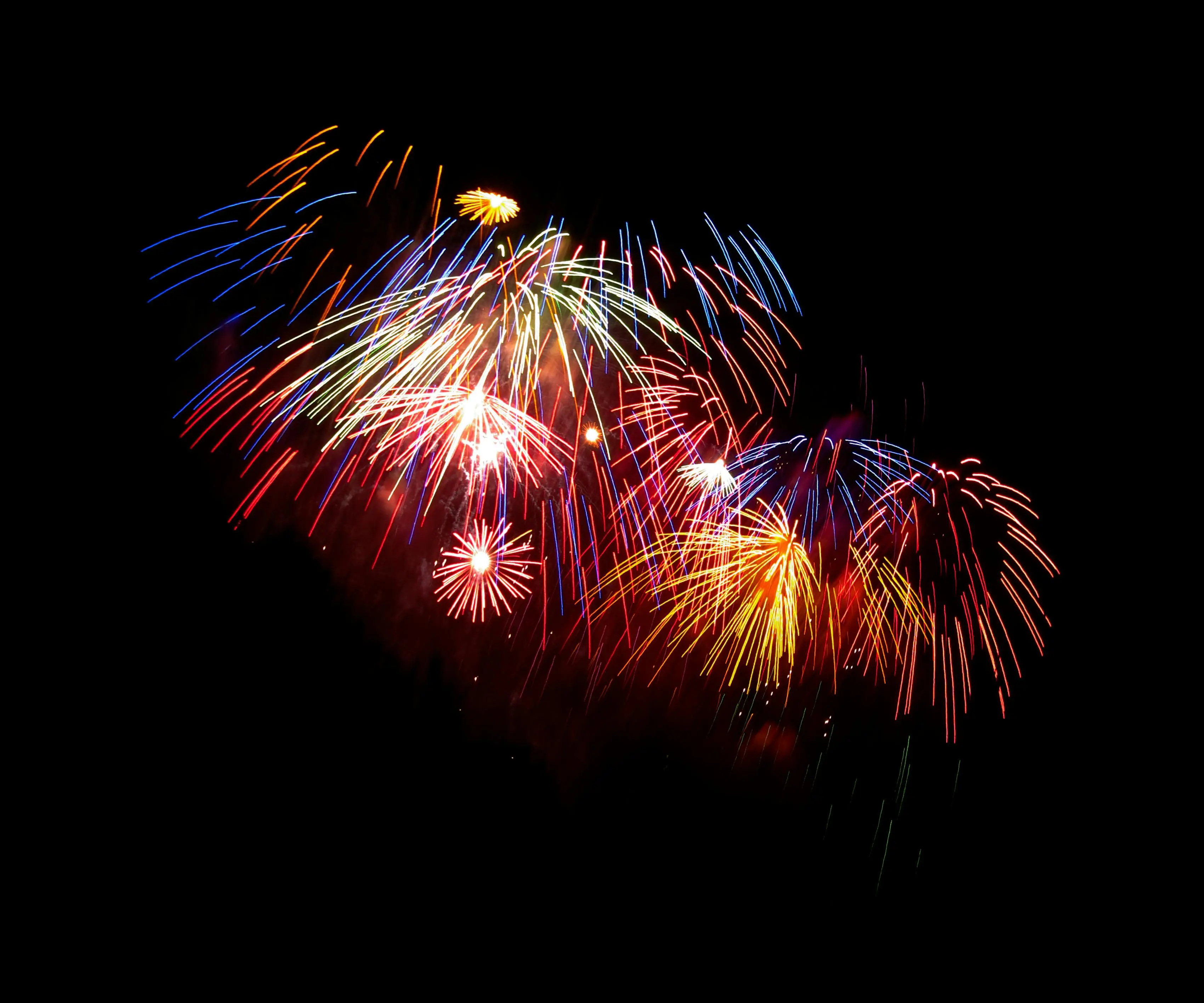 A Pledge For Our Free Market: New York City, Declare Your Independence